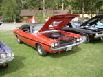 P1010041.JPG